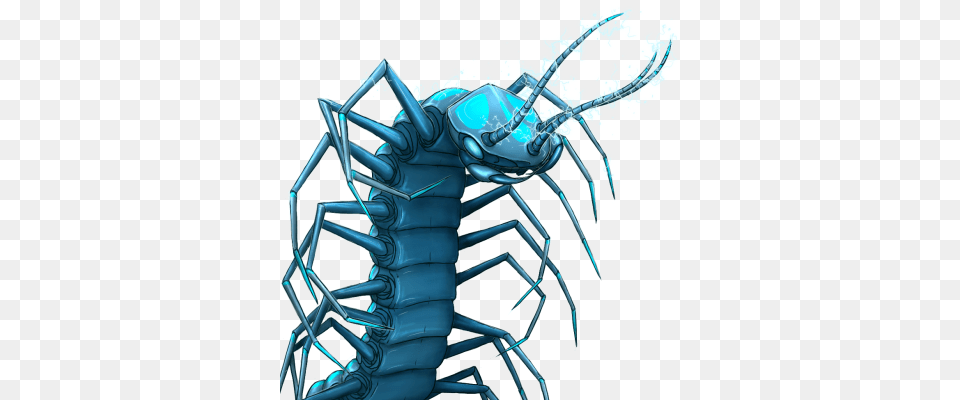Electric Centipede, Animal, Invertebrate, Spider Free Transparent Png