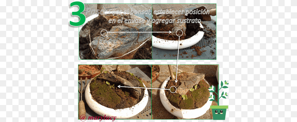 Electric Eel, Tree, Soil, Moss, Plant Free Png Download
