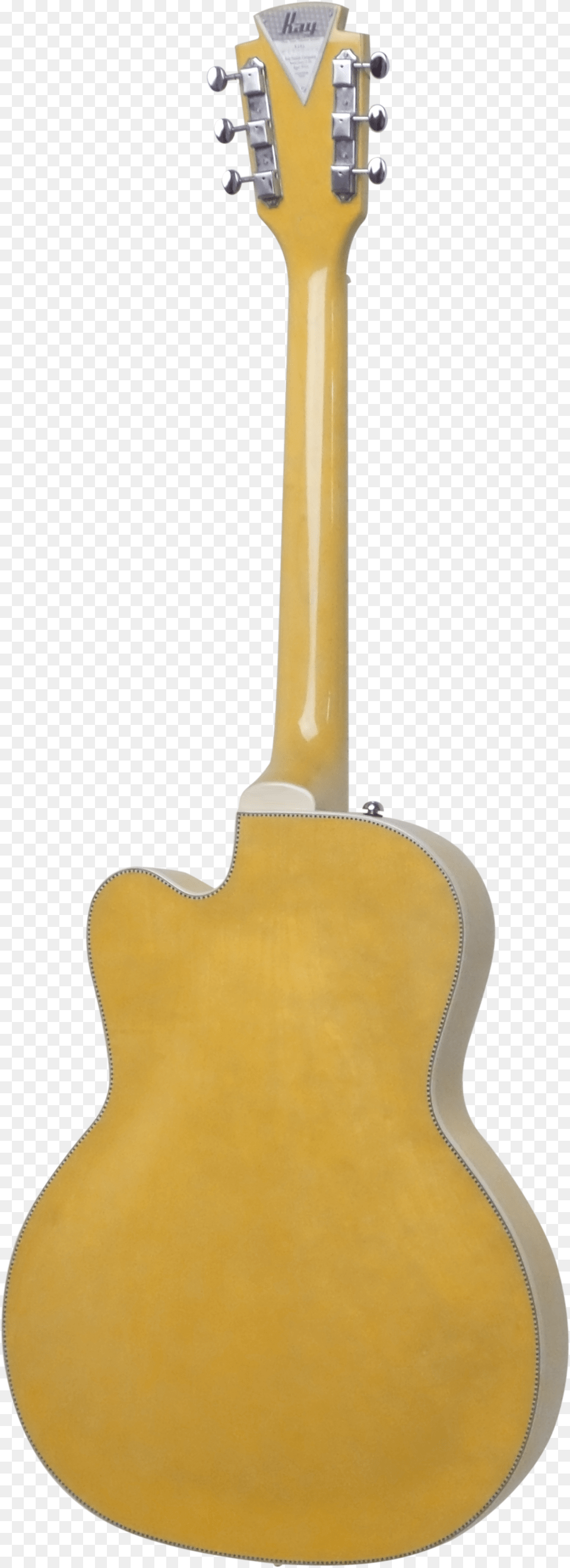 Electric Guitar, Musical Instrument Png Image