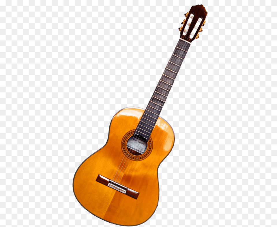Electric Guitar, Musical Instrument, Bass Guitar, Lute Free Png