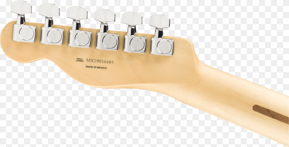 Electric Guitar, Musical Instrument Png