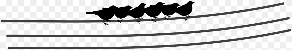 Electric Lines Birds Sitting Silhouettes Silhouette, Sword, Weapon, Cutlery, Fork Free Transparent Png