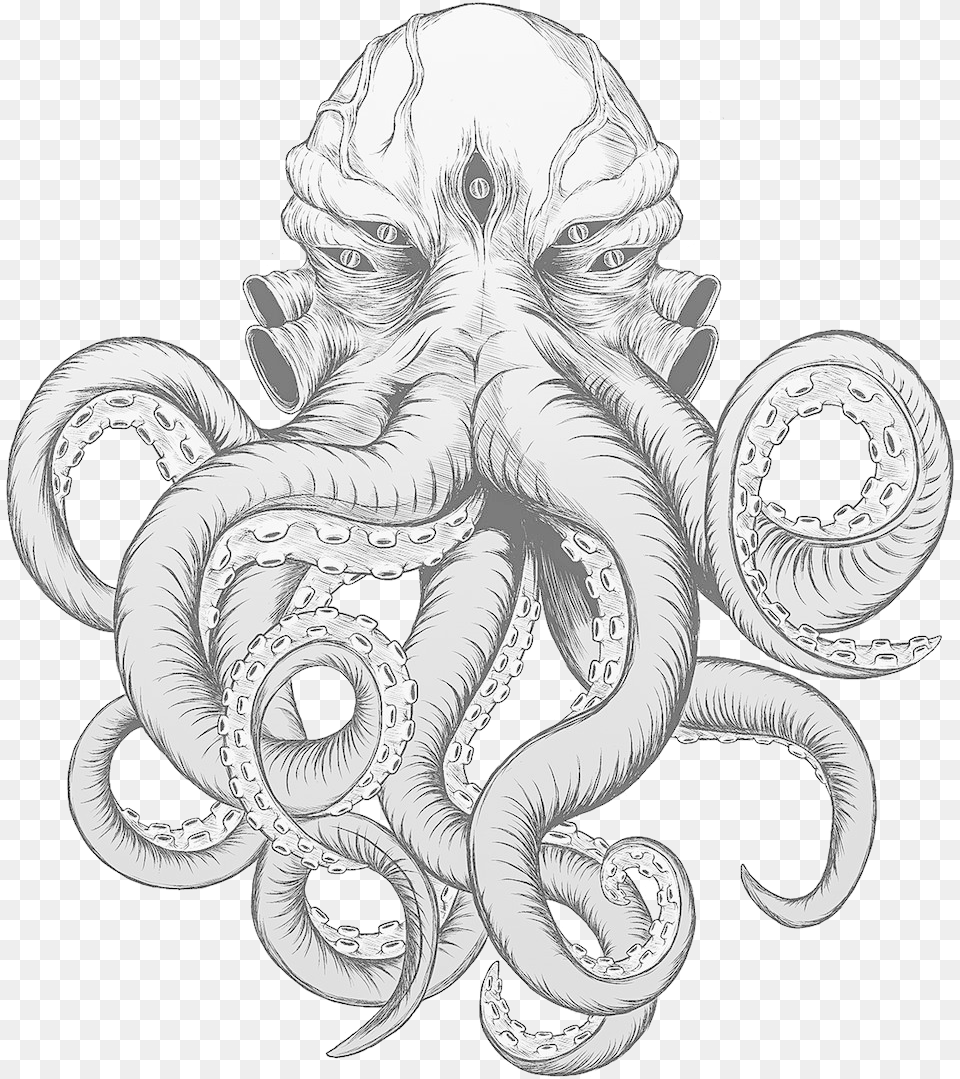 Electric Octopus Albums, Animal, Invertebrate, Spider, Sea Life Png Image