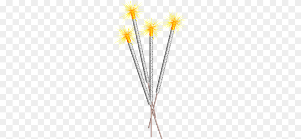 Electric Sparklers, Flower, Plant, Dandelion Png