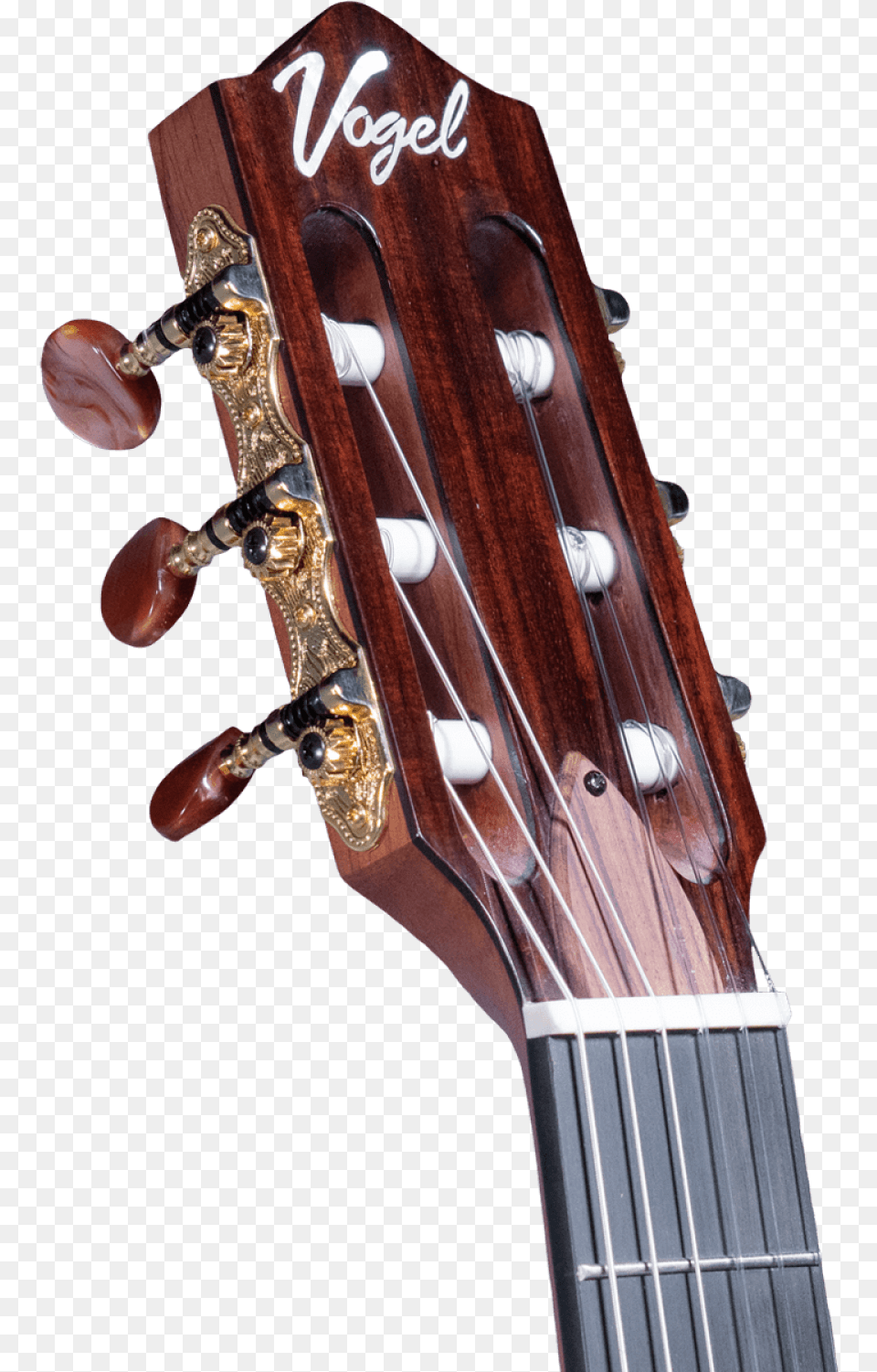 Electroclasic Guitar High End Jazz Acoustic Electric Guitar, Musical Instrument Png