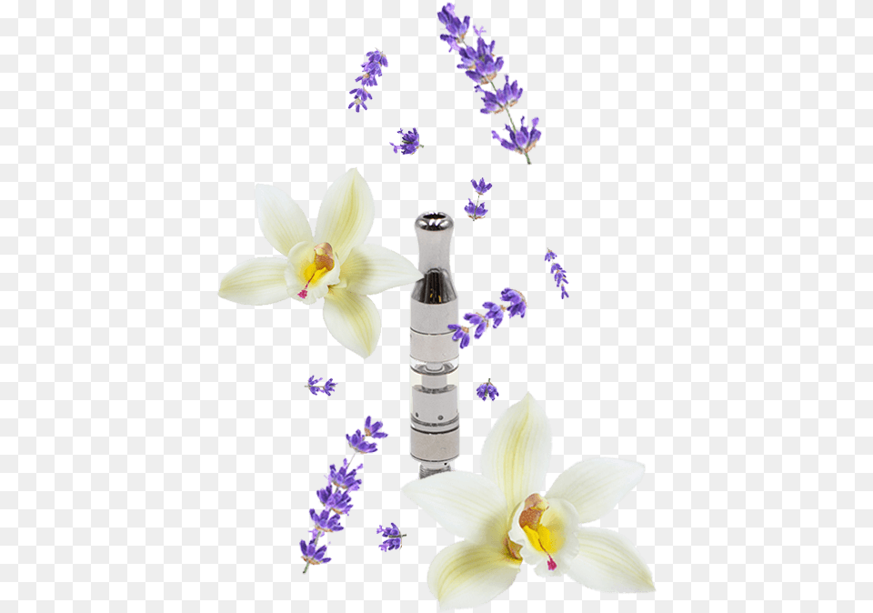 Electronic Cigarette, Flower, Plant, Petal, Flower Arrangement Free Png