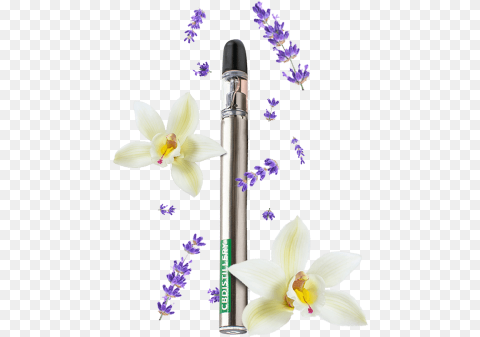 Electronic Cigarette, Flower, Petal, Plant, Pen Png Image
