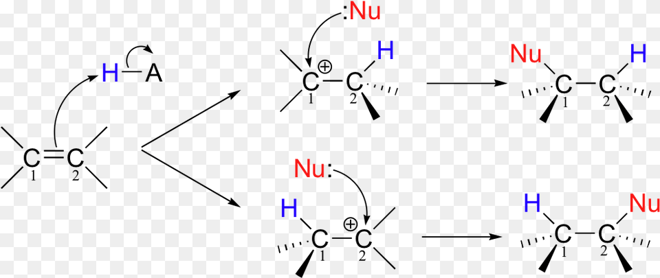 Electrophilic Addition Alkene To Alcohol Free Transparent Png