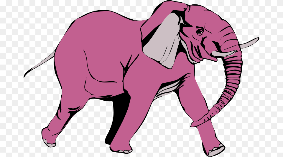 Elefante In Corsa Pink, Person, Animal, Wildlife, Mammal Png