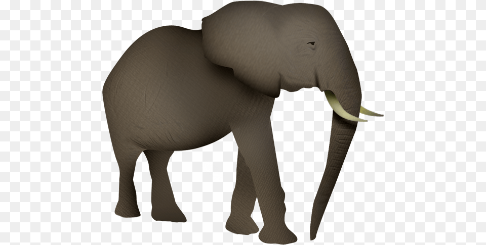 Elefante Indian Elephant, Animal, Mammal, Wildlife Png Image