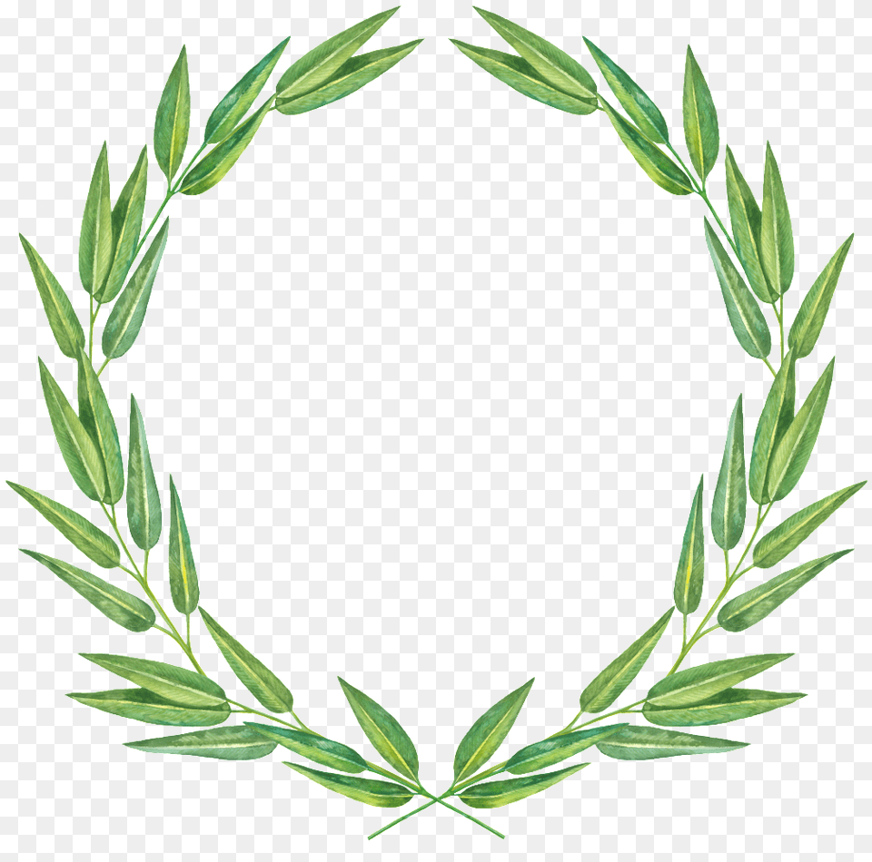 Elegant Arc Flower Wreath Cartoon Transparent Portable Network Graphics, Leaf, Plant, Grass Png