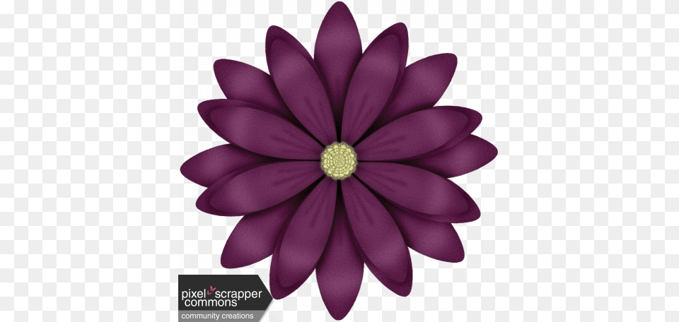 Elegant Autumn Flower Servicio Nacional De Aprendizaje Sena Bandera, Dahlia, Daisy, Petal, Plant Free Png Download