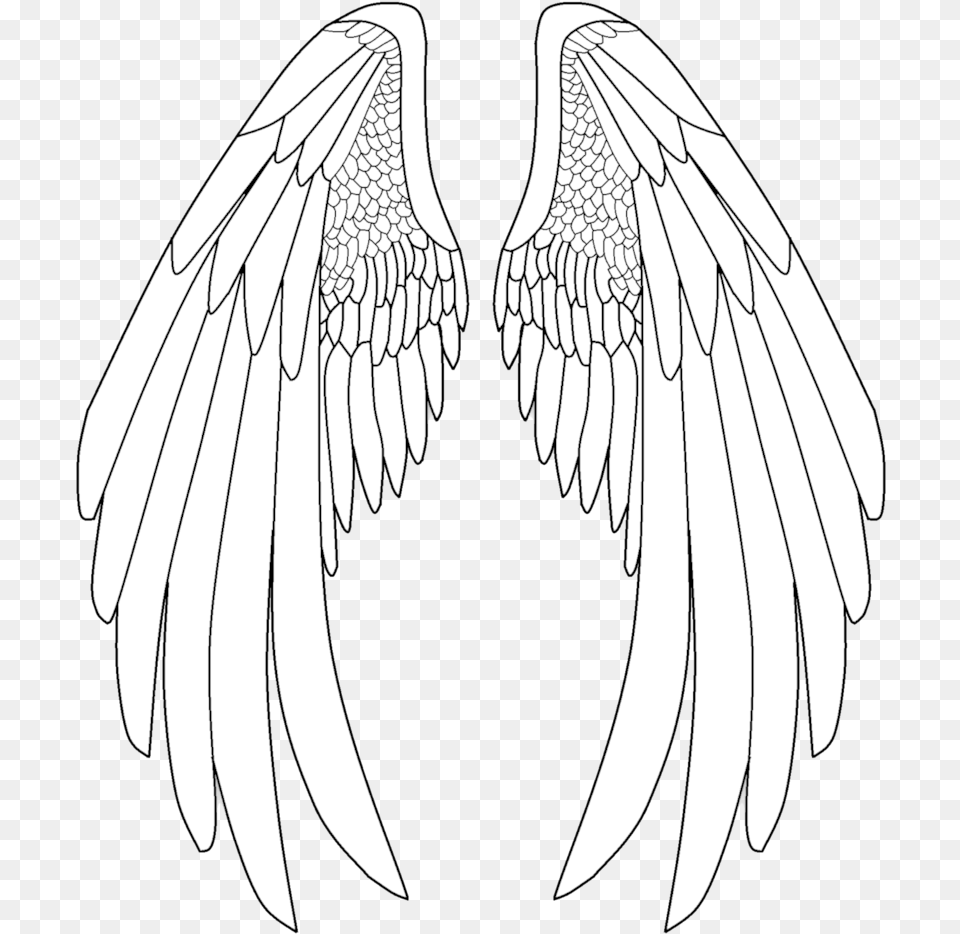 Elegant Drawing Angel Anime Angel Wings Drawing, Adult, Female, Person, Woman Free Transparent Png