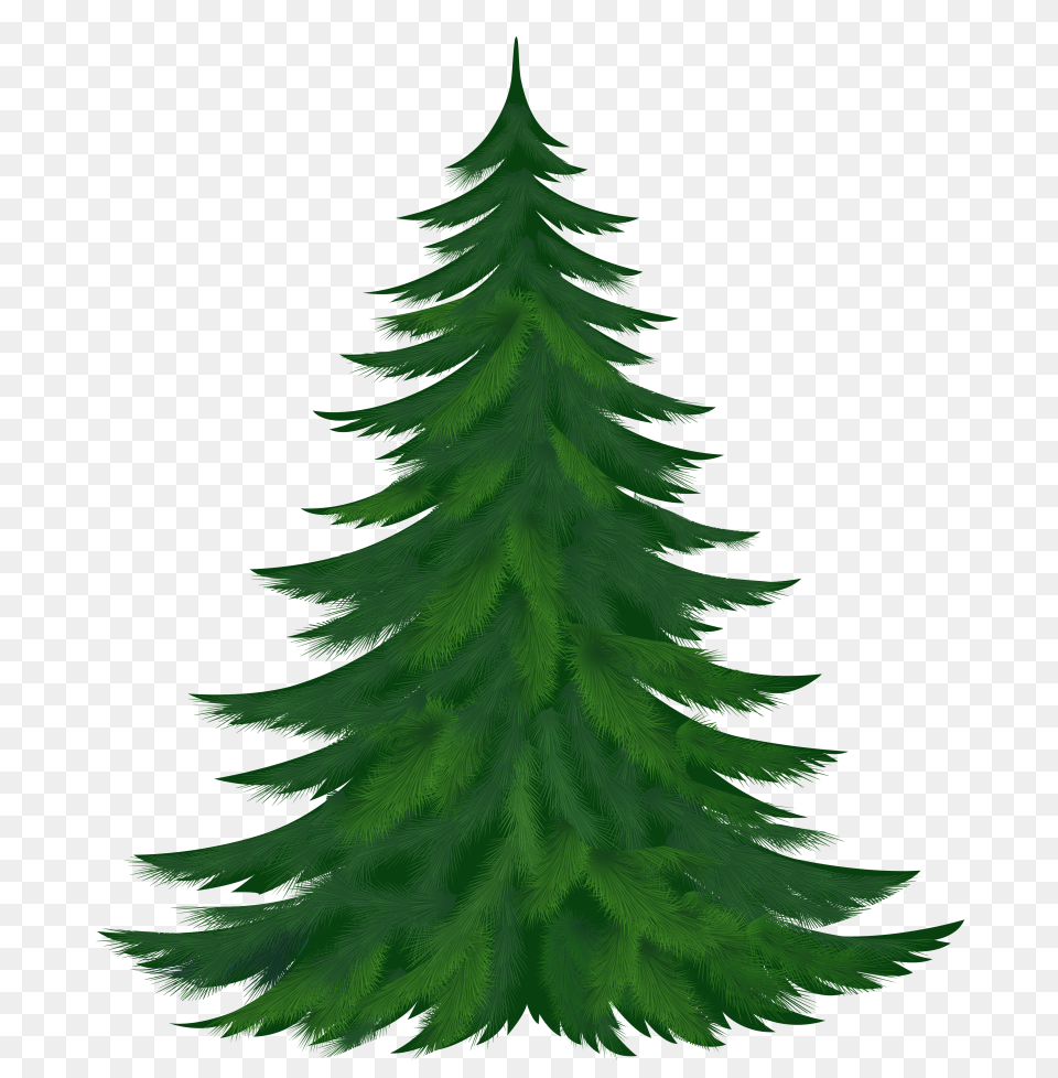 Elegant Evergreen Tree Line Silhouette Pine Trees Fir, Green, Plant, Conifer Free Png Download