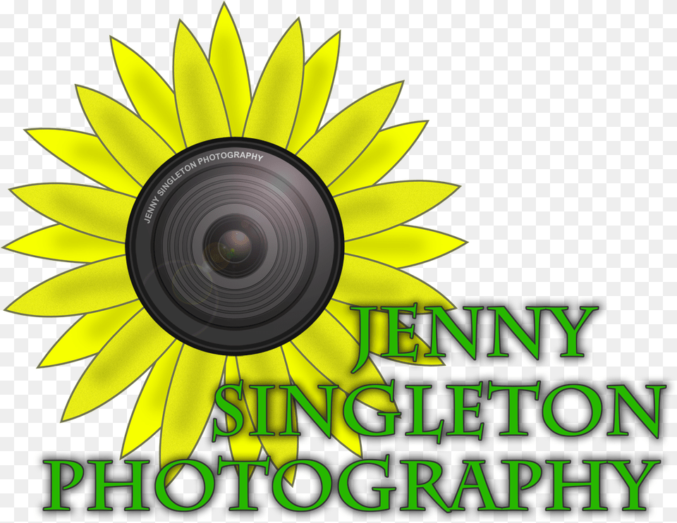 Elegant Feminine Boutique Logo Design For Jenny Singleton Sunflower, Electronics, Flower, Plant, Photography Png