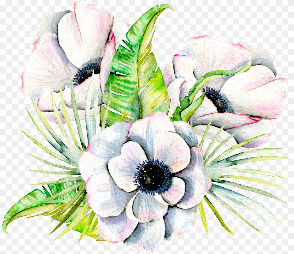 Elegant Flowers Transparent Anemone Watercolor White Flower, Flower Arrangement, Flower Bouquet, Plant, Art Png Image