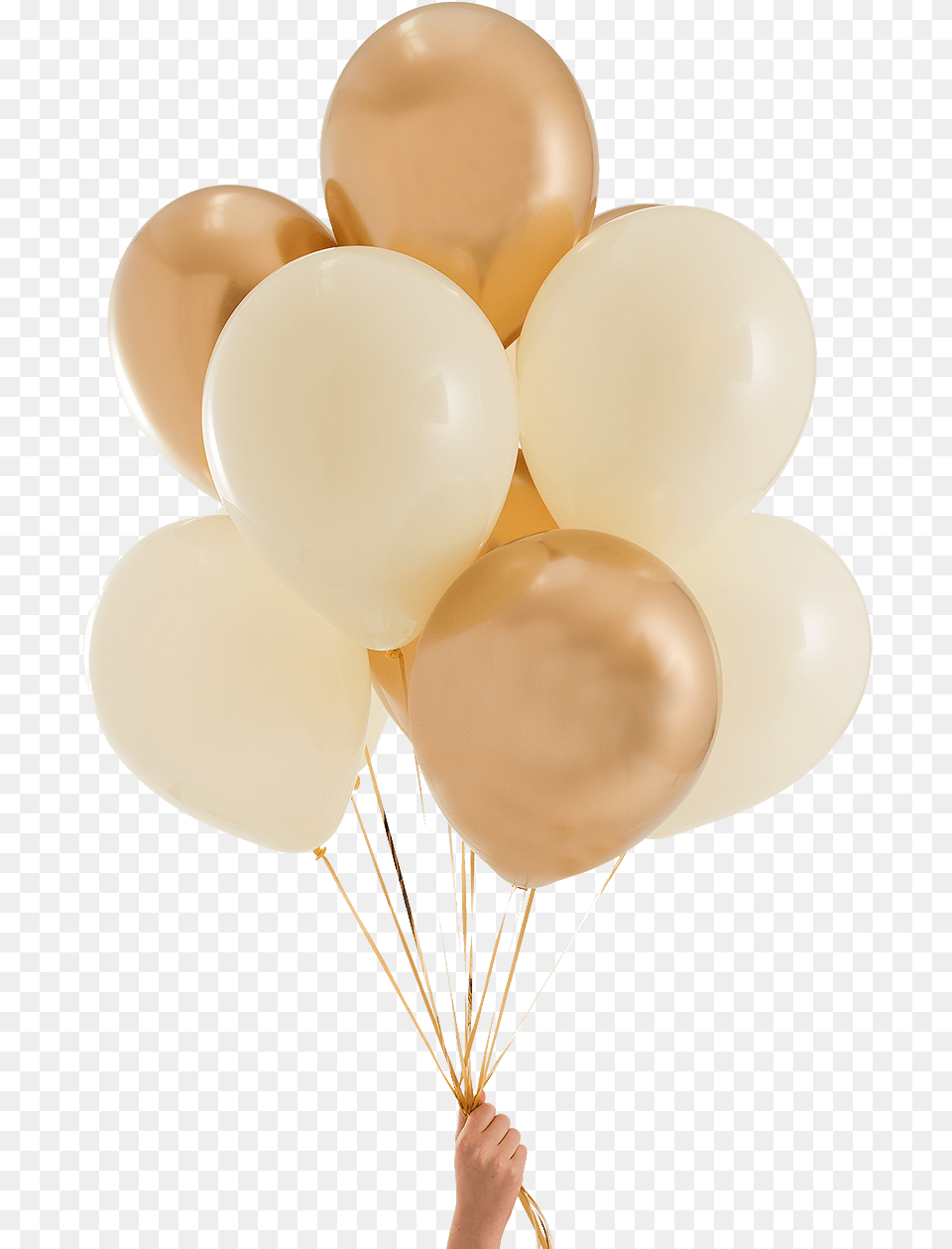 Elegant Ivory Gold Party Balloons Gold Party Balloons, Balloon, Baby, Person Free Transparent Png