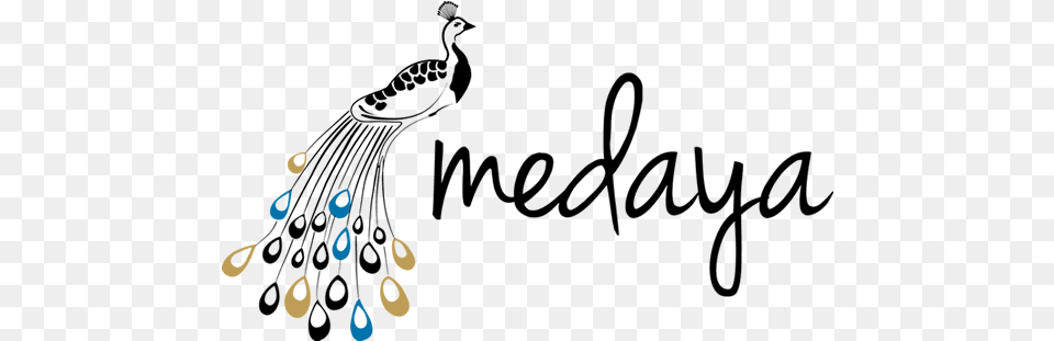 Elegant Modern Fashion Logo Design For Medaya By Purple Arsene Png