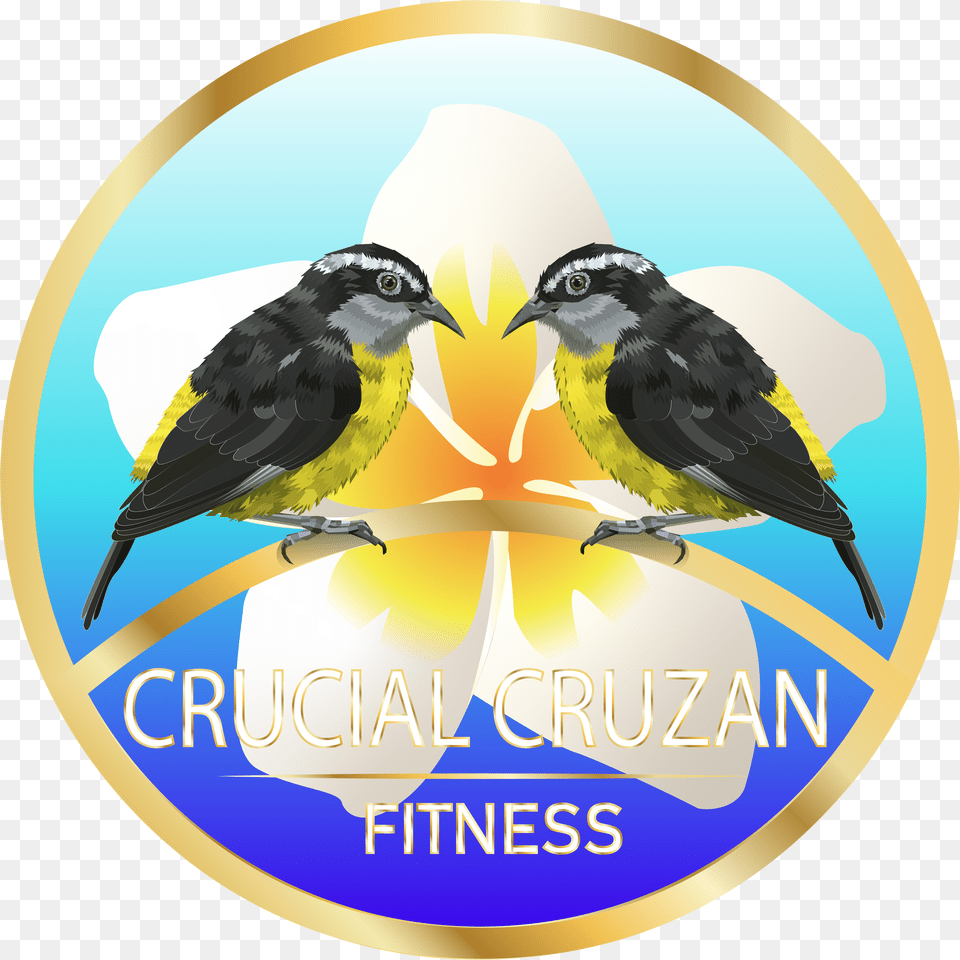 Elegant Playful Illustration Design For Herbalife Nutrition Bird, Animal, Finch, Logo, Canary Png Image