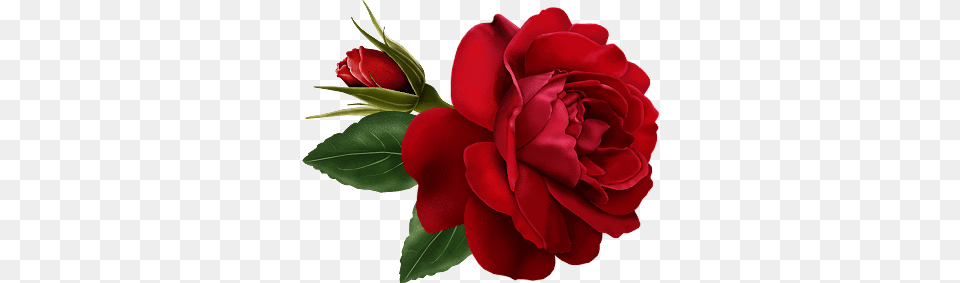 Elegant Red Rose Clipart Vintage Flower Clip Art Vintage Rose, Plant Free Png