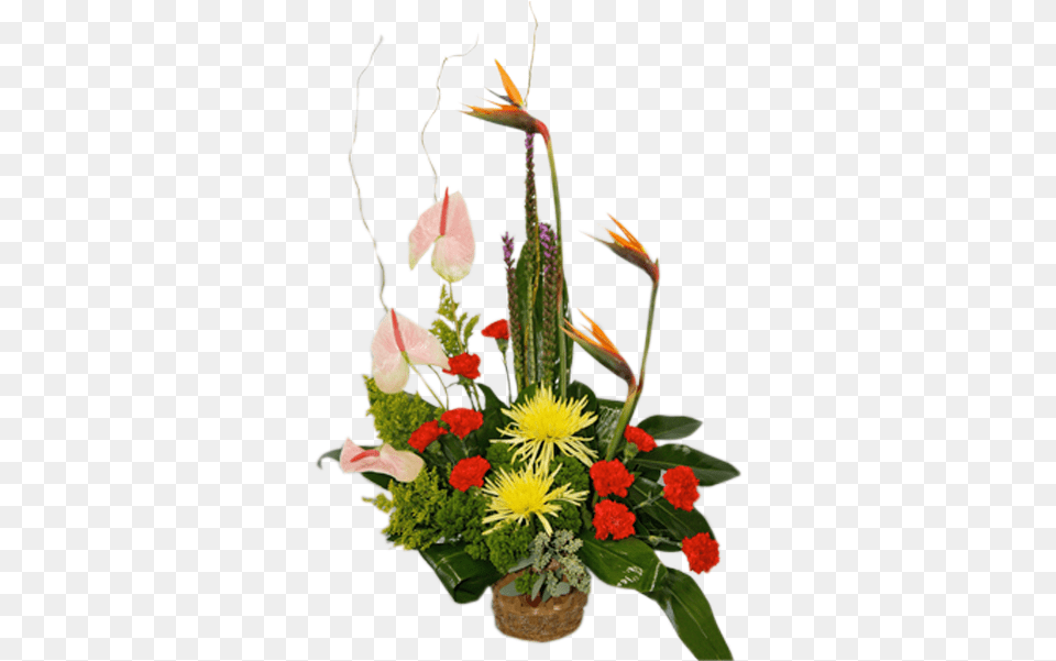 Elegant Tropical Lovely, Flower, Flower Arrangement, Flower Bouquet, Ikebana Free Png Download
