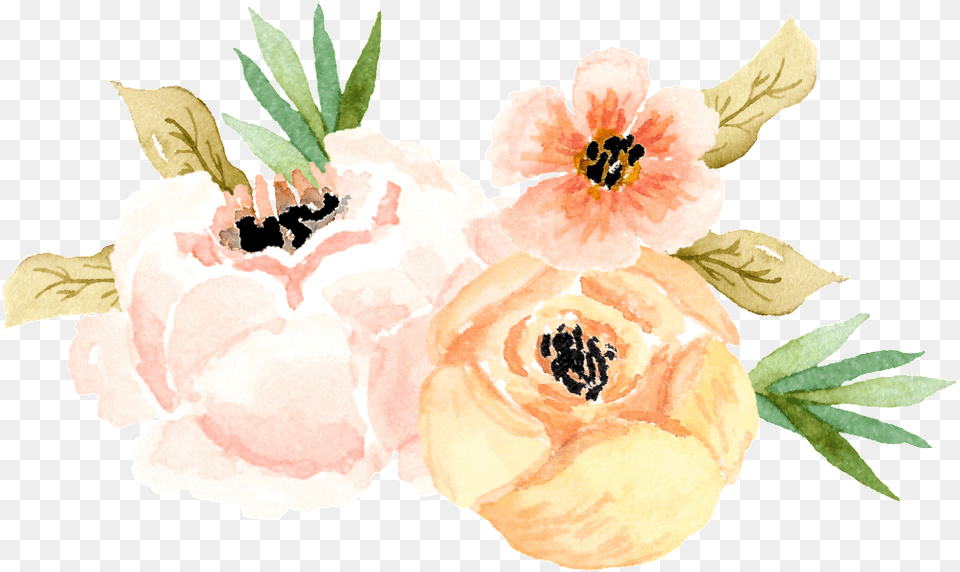Elegant Watercolor Flower Cartoon Transparent Watercolor Painting, Plant, Petal, Food, Fruit Png Image