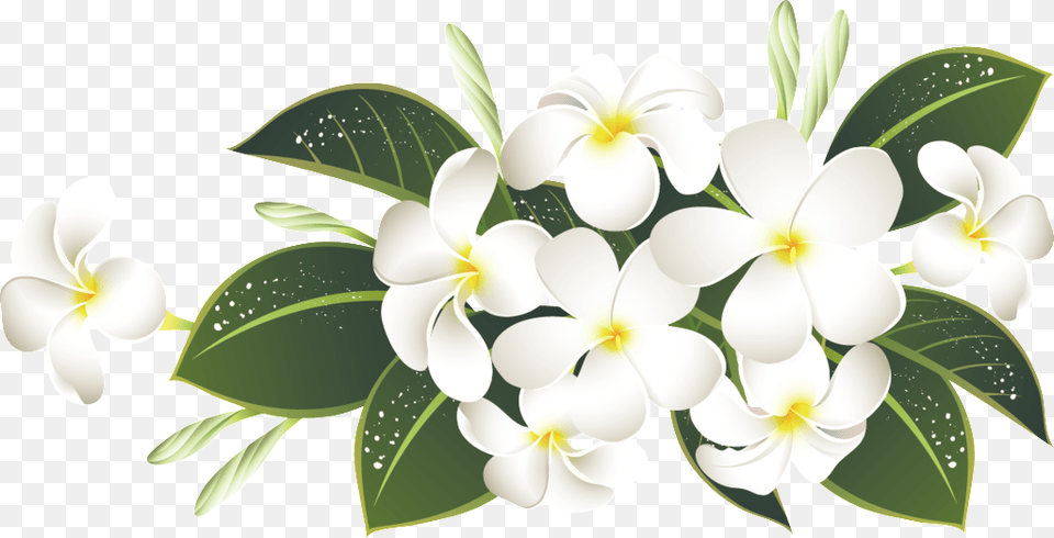 Elegant White Bouquet Transparent About Green Leaves Flores Blancas, Art, Floral Design, Flower, Graphics Free Png Download