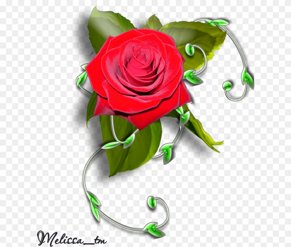 Element Rose With Leaves And Swirl By Melissa Tm Roses Element, Flower, Plant Png