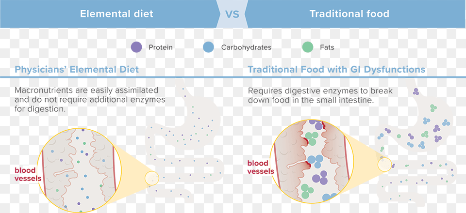 Elemental Diet Vs Traditional Food Elemental Diet, Plot, Chart, Cream, Dessert Png Image