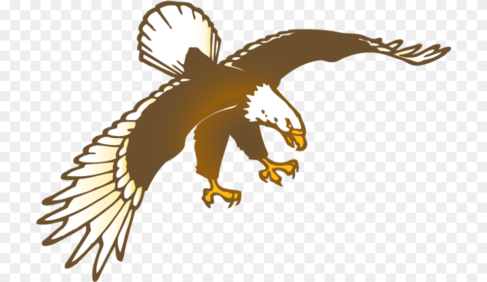 Elementary School Guillen Middle School, Animal, Bird, Eagle, Person Free Transparent Png