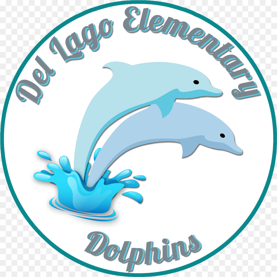 Elementary School Magdalena Del Mar, Animal, Dolphin, Mammal, Sea Life Png Image