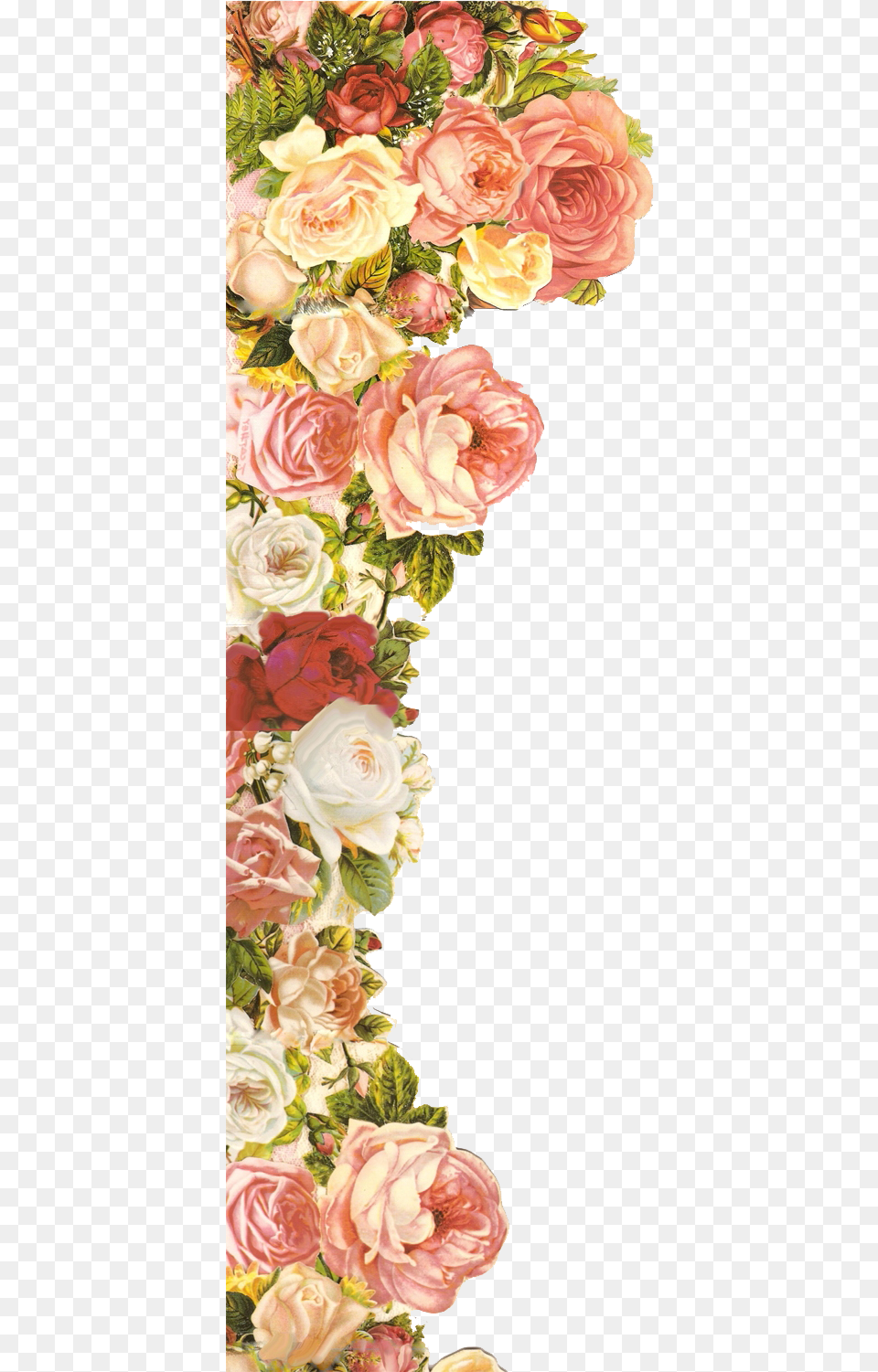 Elementos Florais Clip Art, Plant, Pattern, Graphics, Flower Bouquet Png Image