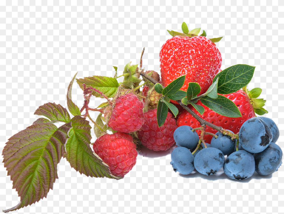 Elements, Berry, Blueberry, Food, Fruit Png