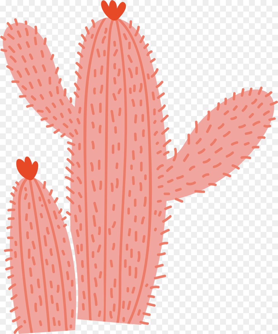 Elements Cactus Edit Overlay Cactus, Plant Png Image