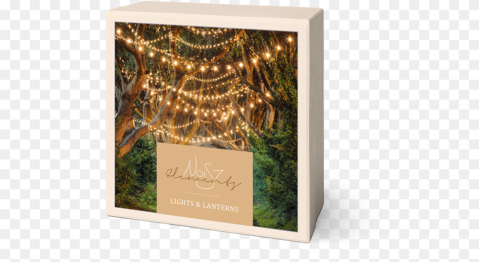 Elements Lights U0026 Lanterns Nois7 The Dark Hedges, Book, Publication, Envelope, Greeting Card Png