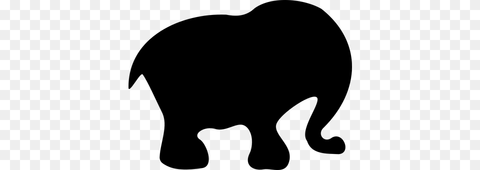 Elephant Gray Png