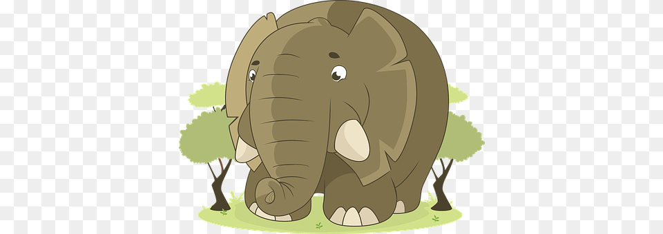 Elephant Animal, Baby, Mammal, Person Png