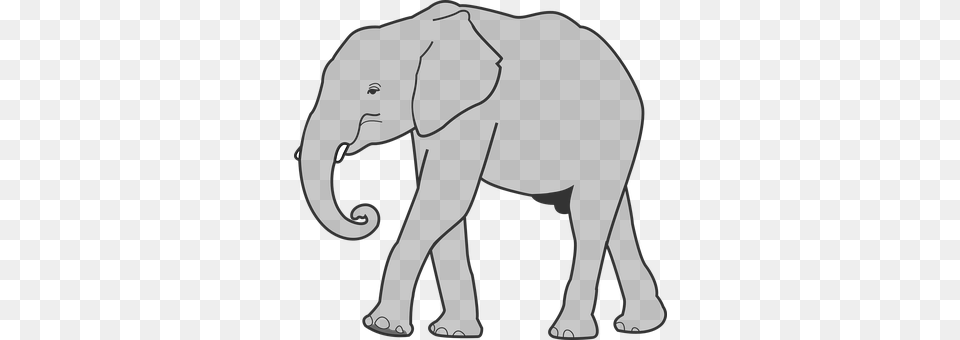 Elephant Animal, Mammal, Wildlife, Clothing Free Png Download