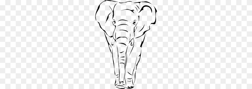Elephant Gray Png