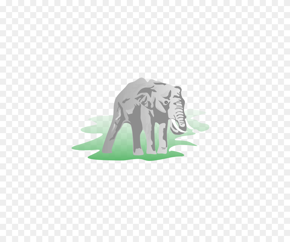 Elephant, Animal, Mammal, Wildlife Png