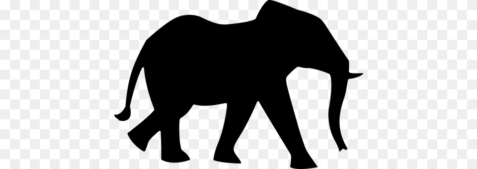 Elephant Gray Free Transparent Png