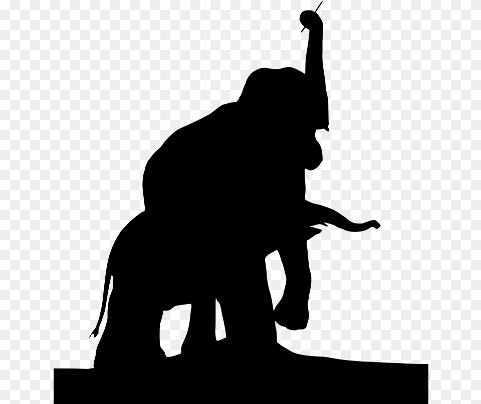Elephant, Gray Free Png