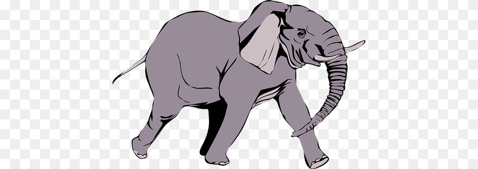 Elephant Person, Animal, Wildlife, Mammal Png Image