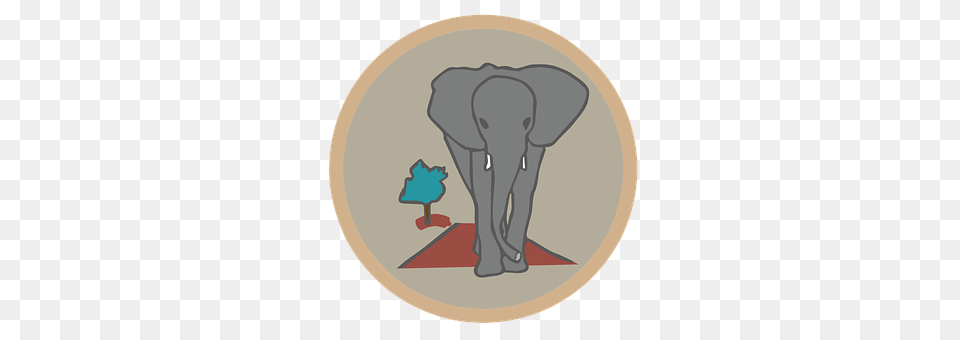 Elephant Plate, Person, Animal, Mammal Free Png Download