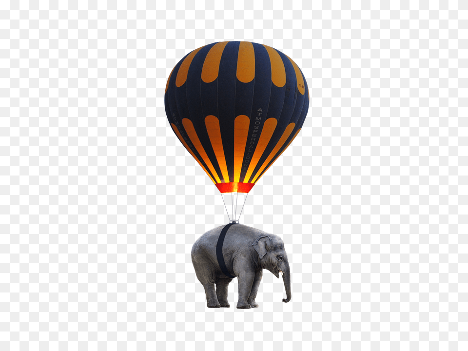 Elephant Balloon, Animal, Mammal, Wildlife Png Image