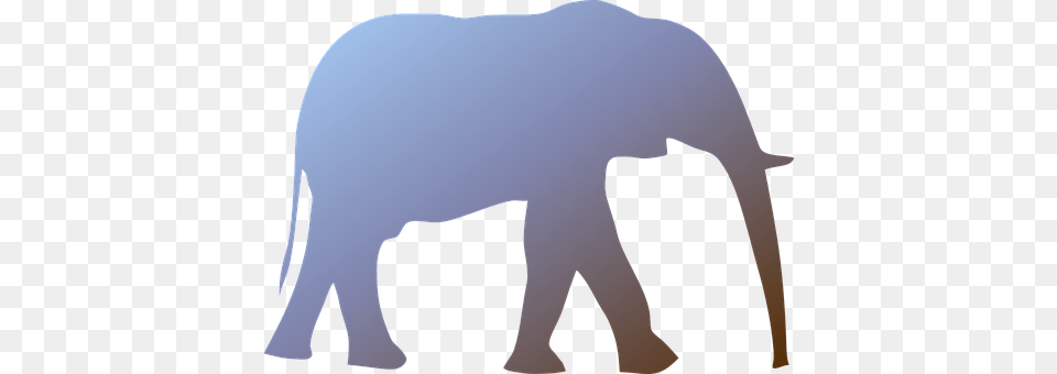 Elephant Animal, Mammal, Wildlife Free Png Download