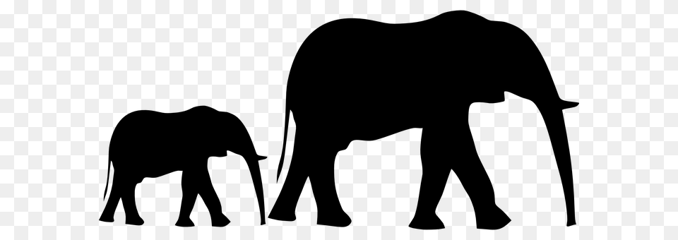 Elephant Gray Free Transparent Png