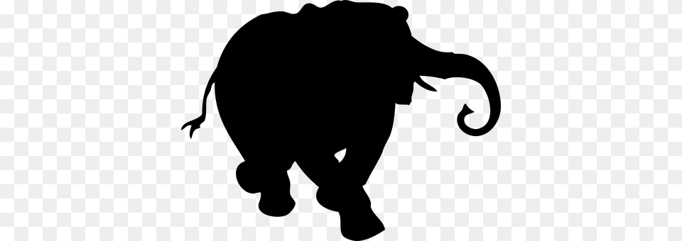 Elephant Gray Png Image