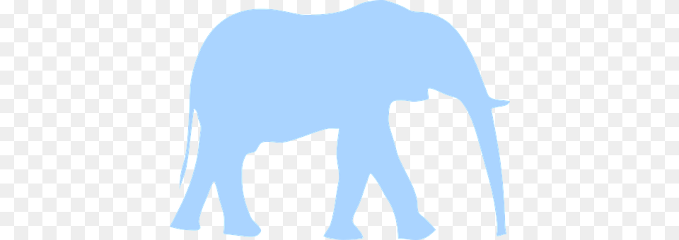 Elephant Animal, Mammal, Wildlife Free Png