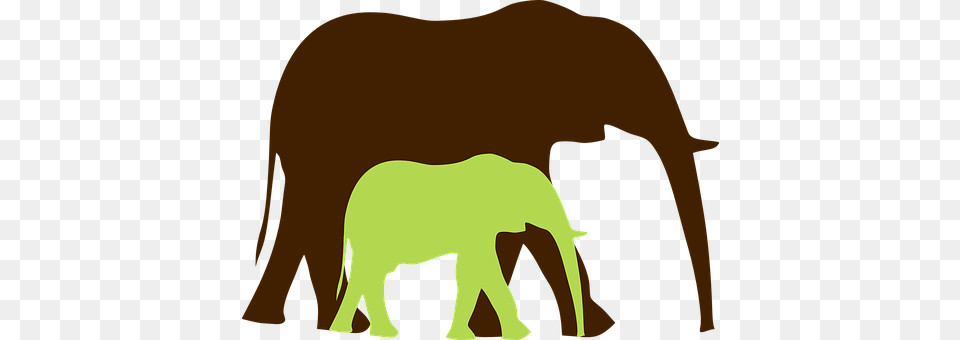 Elephant Animal, Mammal, Wildlife, Person Png Image